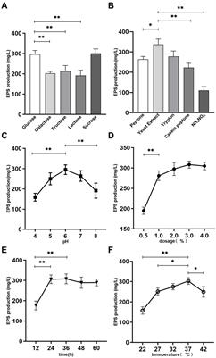 Exopolysaccharide from Lacticaseibacillus paracasei alleviates gastritis in Helicobacter pylori-infected mice by regulating gastric microbiota